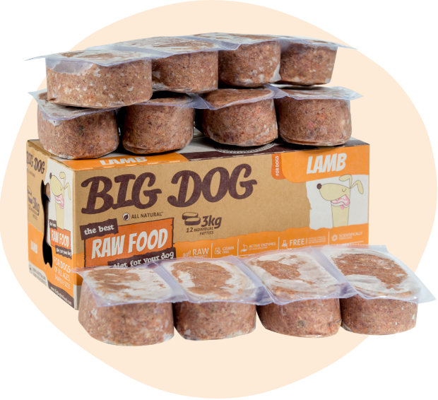 Big Dog Lamb 3kg