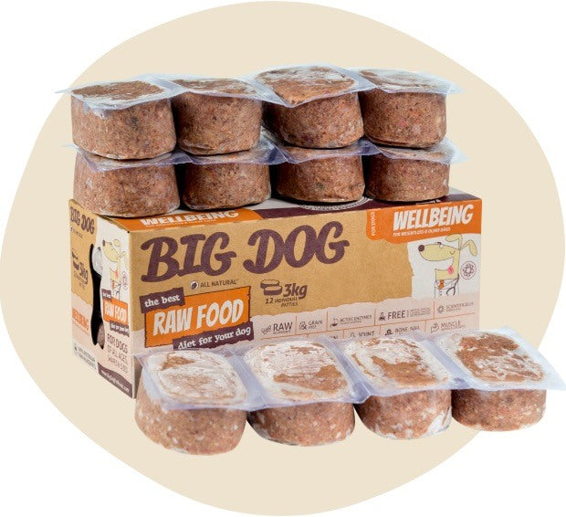 Big Dog Wellbeing 3kg