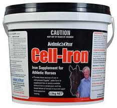 Kohnkes Own Cell-Iron 1.2 kg