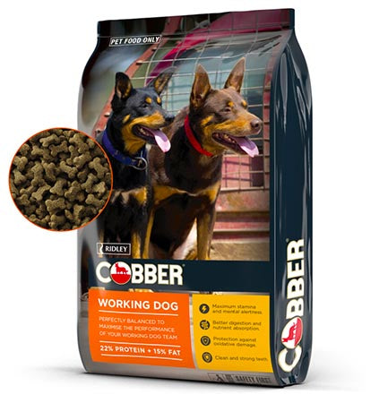 Cobber Working Dog 20kg