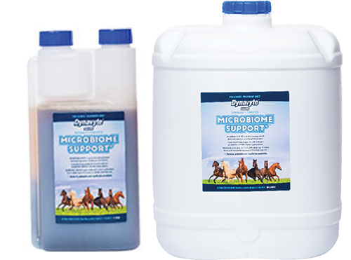 Dynavyte Microbiome Support 1L