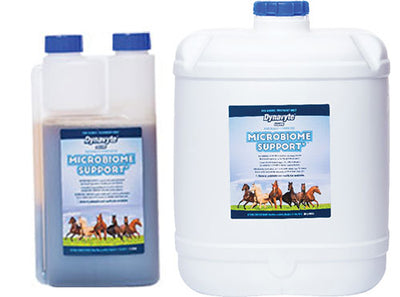Dynavyte Microbiome Support 1L