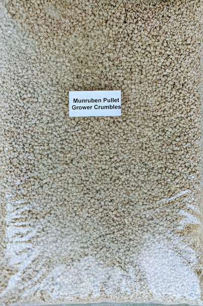 Munruben Pullet Grower Crumbles 4kg at Buckhams General Produce