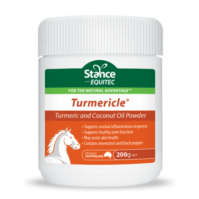 Stance Equitec Turmericle 10kg