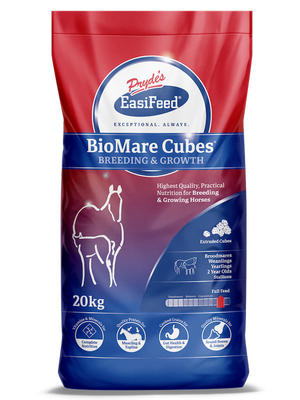 Prydes Biomare Cubes 20kg