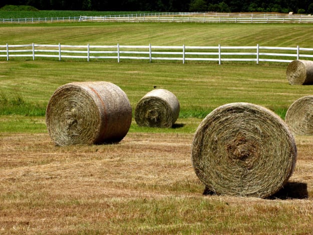 Large 4x4 Round Hay Bales - Grassy