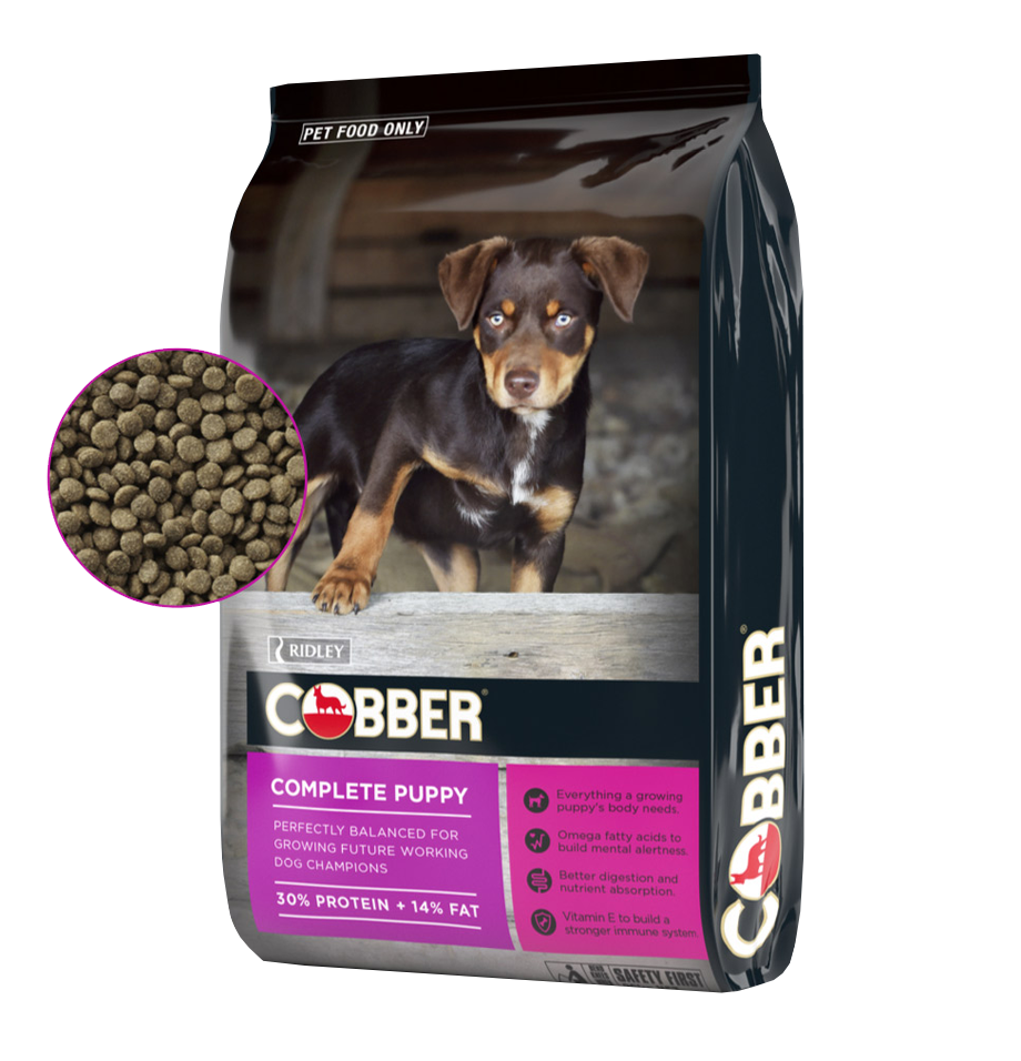 Cobber Complete Puppy 20kg at Buckhams General Produce