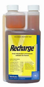 Virbac Recharge for Horses 1L