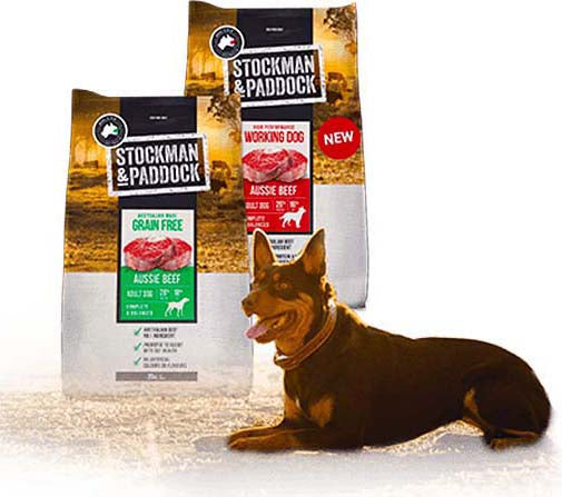 Stockman & Paddock High Performance Working Dog 20kg