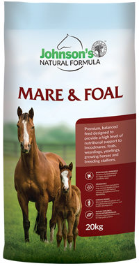Johnsons Mare and Foal 20kg